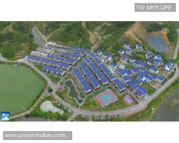 通山足球的崛起与发展探索助力地方经济与文化的双重提升